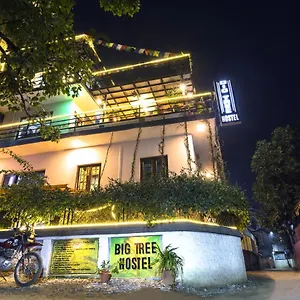Hostel Big Tree, Kathmandu